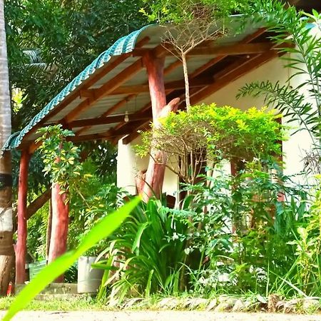 Sigiri Picaso Home Stay Sigirija Zewnętrze zdjęcie