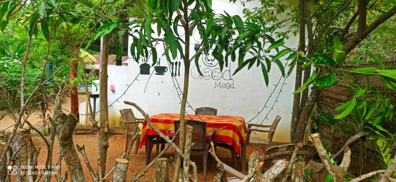 Sigiri Picaso Home Stay Sigirija Zewnętrze zdjęcie