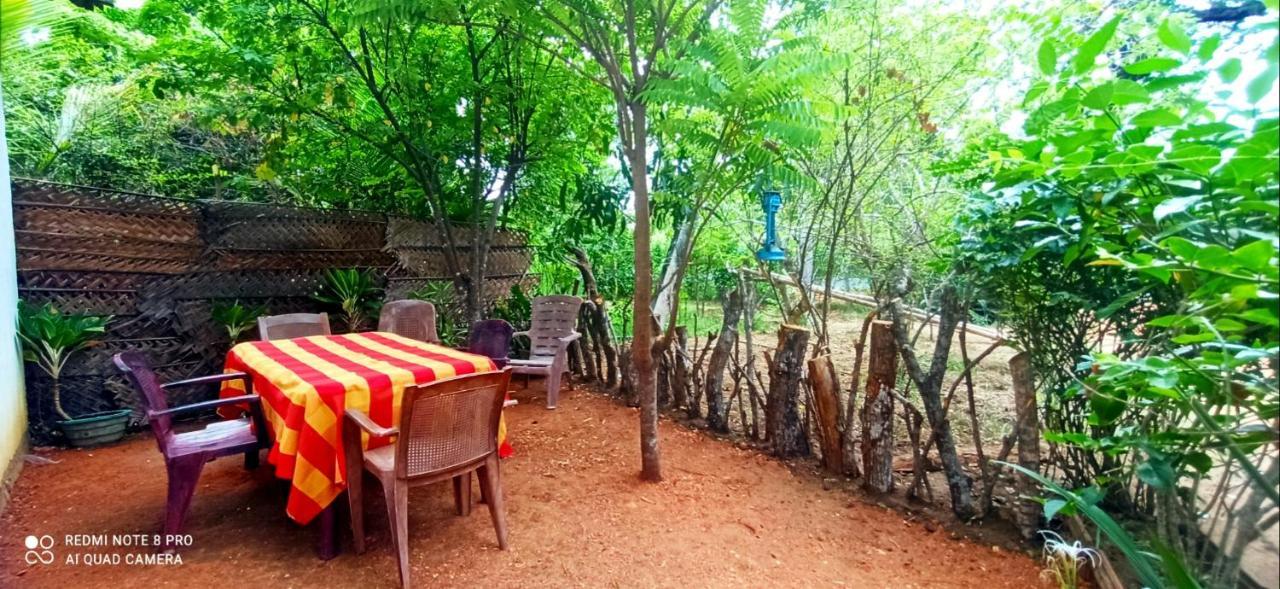 Sigiri Picaso Home Stay Sigirija Zewnętrze zdjęcie