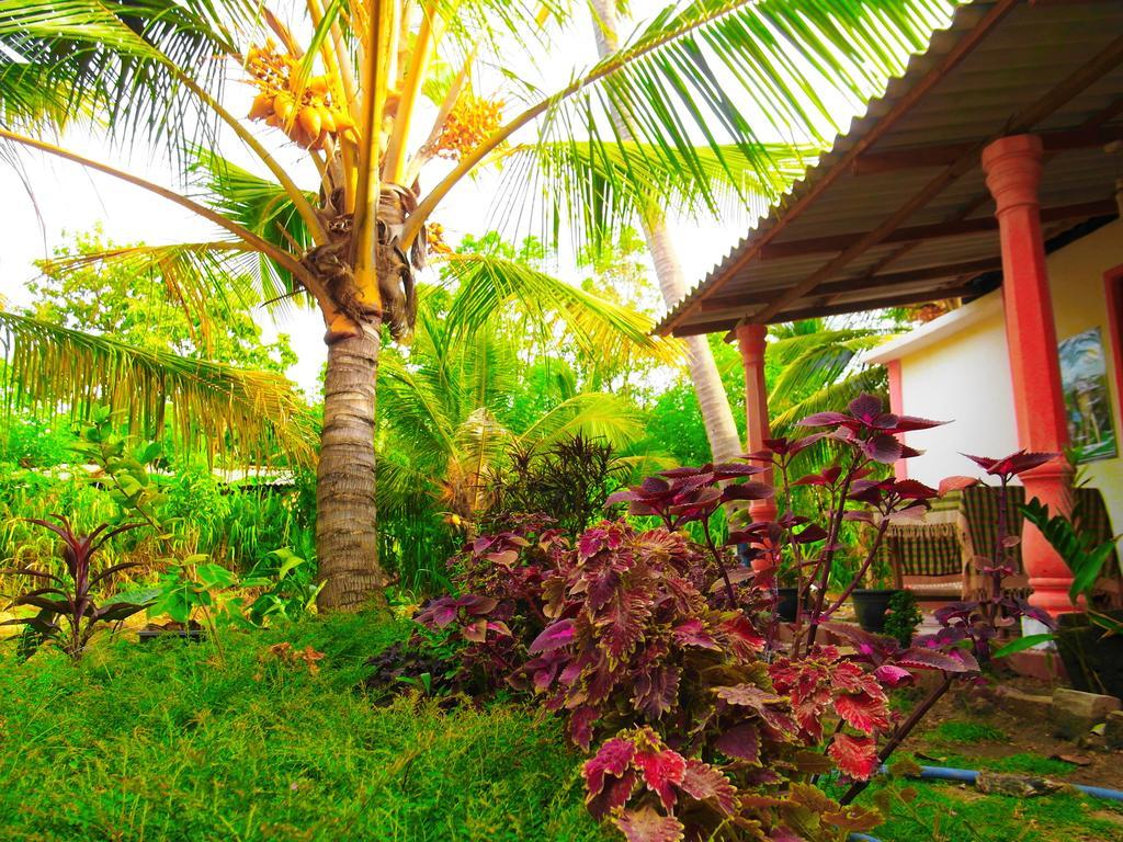 Sigiri Picaso Home Stay Sigirija Zewnętrze zdjęcie