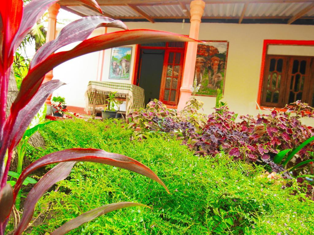 Sigiri Picaso Home Stay Sigirija Zewnętrze zdjęcie