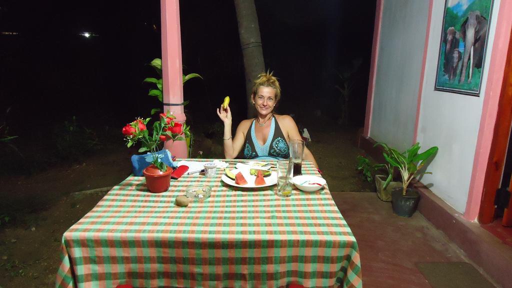 Sigiri Picaso Home Stay Sigirija Zewnętrze zdjęcie