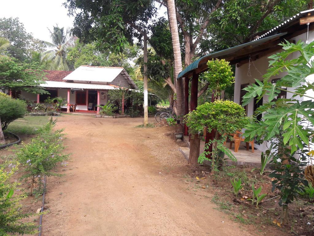 Sigiri Picaso Home Stay Sigirija Zewnętrze zdjęcie