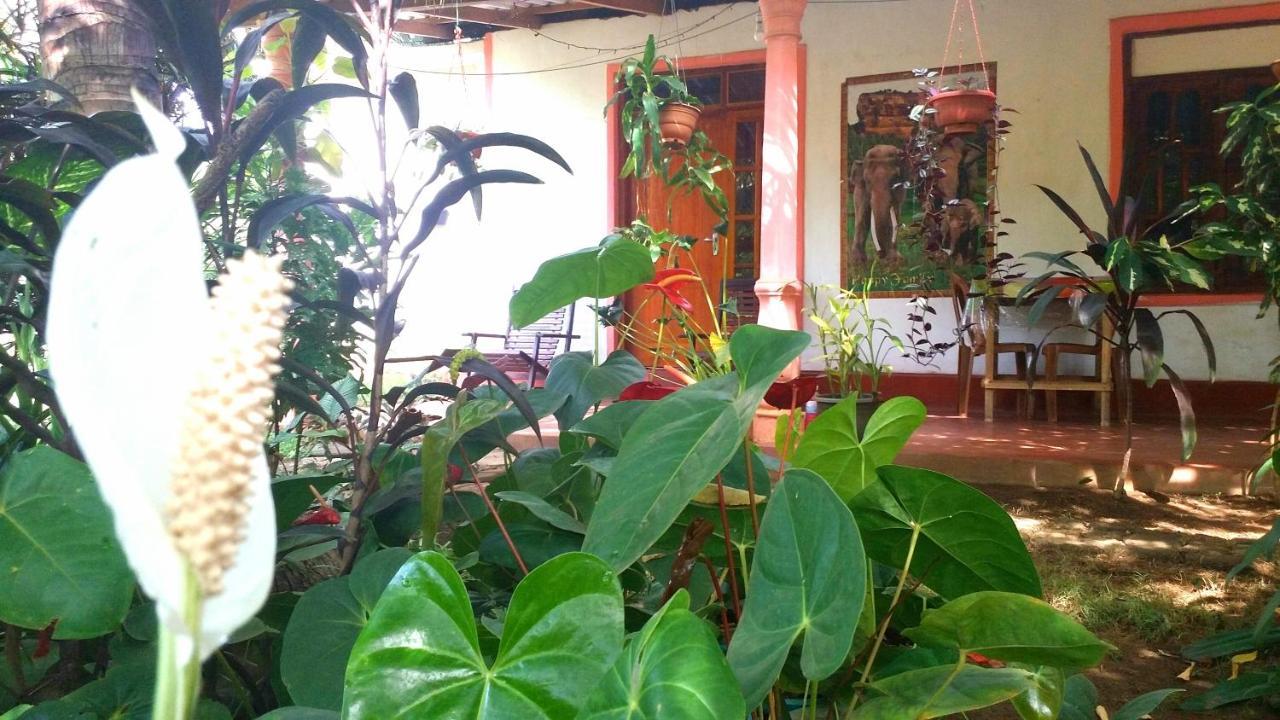 Sigiri Picaso Home Stay Sigirija Zewnętrze zdjęcie