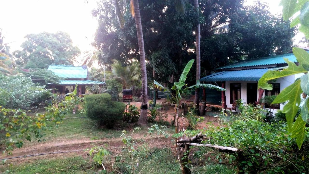 Sigiri Picaso Home Stay Sigirija Zewnętrze zdjęcie