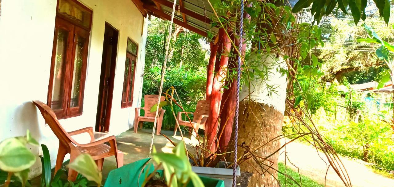 Sigiri Picaso Home Stay Sigirija Zewnętrze zdjęcie