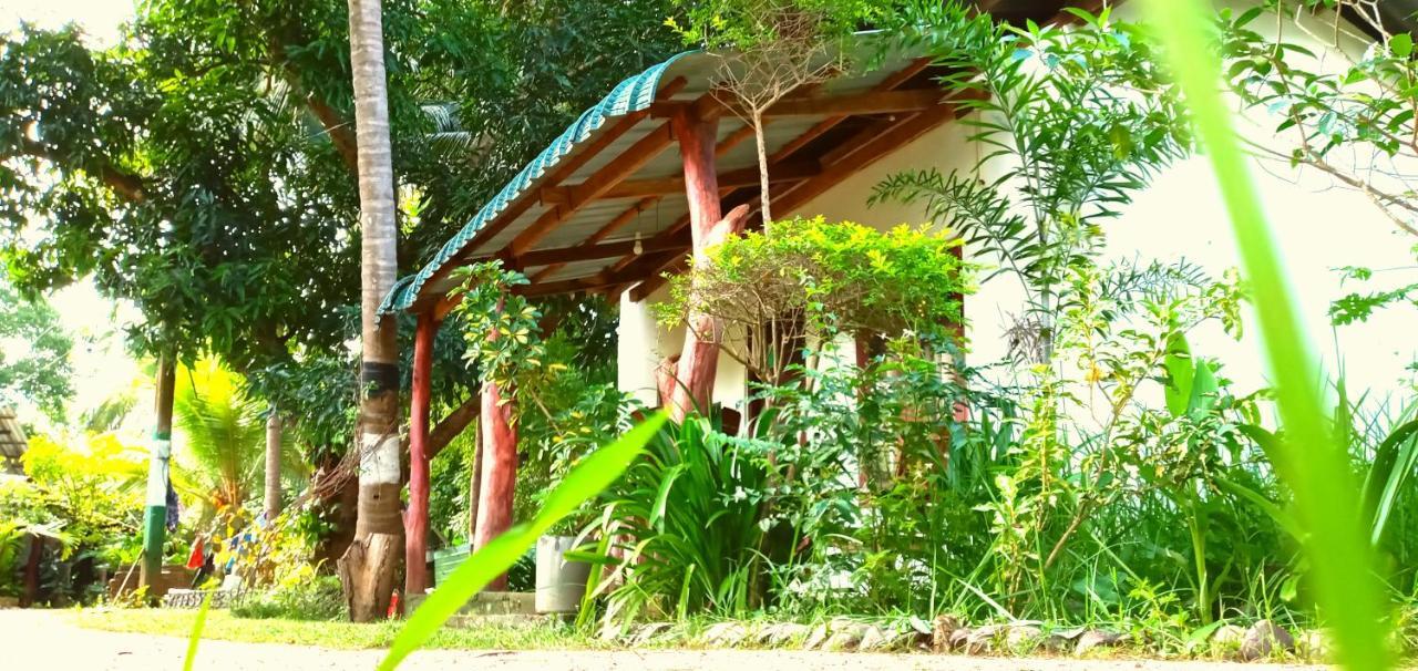 Sigiri Picaso Home Stay Sigirija Zewnętrze zdjęcie