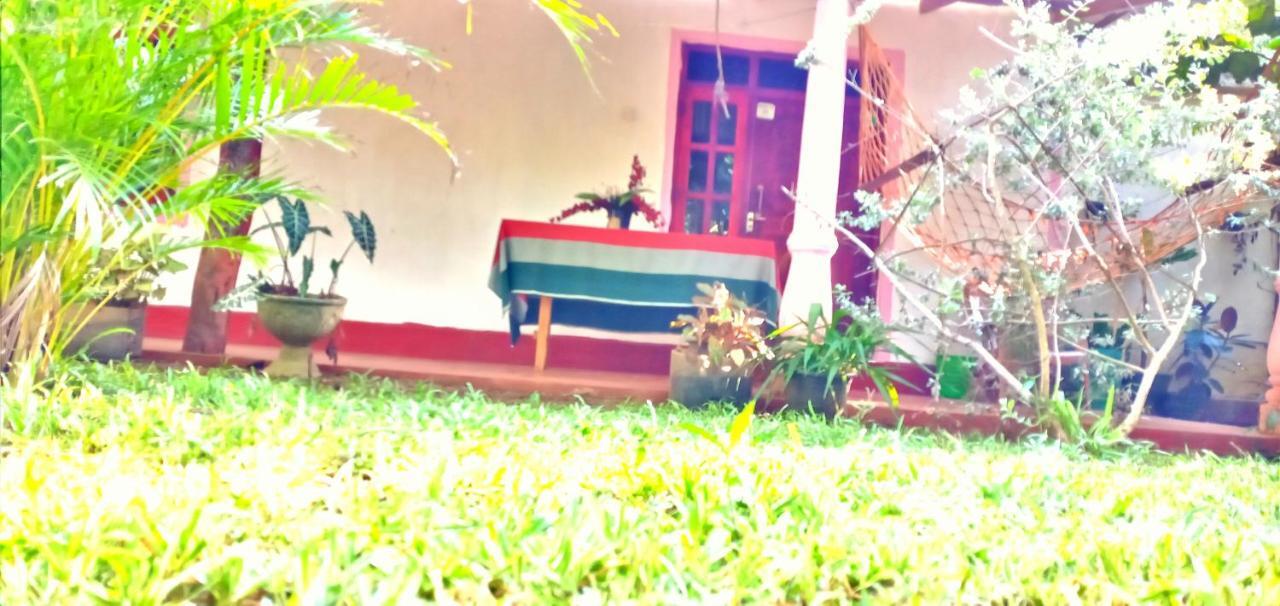 Sigiri Picaso Home Stay Sigirija Zewnętrze zdjęcie