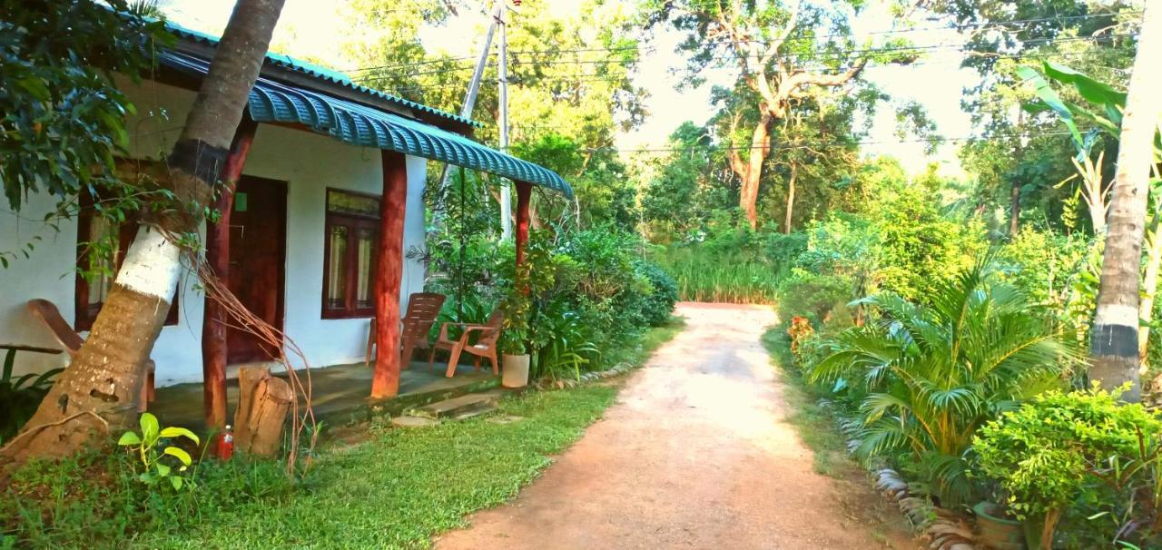 Sigiri Picaso Home Stay Sigirija Zewnętrze zdjęcie