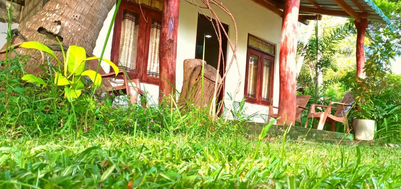 Sigiri Picaso Home Stay Sigirija Zewnętrze zdjęcie