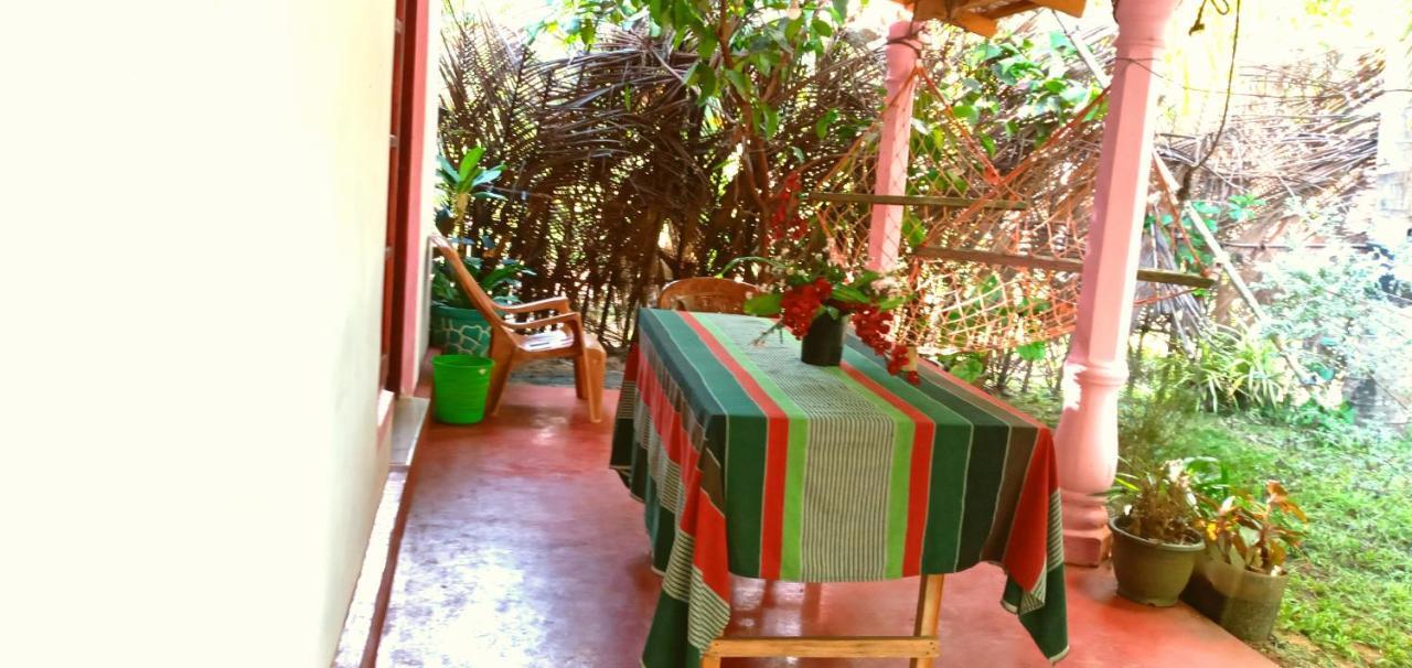 Sigiri Picaso Home Stay Sigirija Zewnętrze zdjęcie